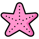 estrella de mar 