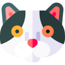 gato icon