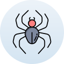 araña icon