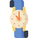 reloj icon