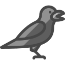 krähe 
