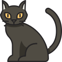 gato negro icon