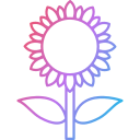 girasol icon