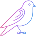 pájaro icon