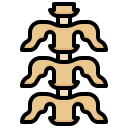 columna vertebral icon