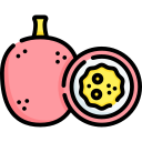 maracujá icon