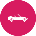 coche descapotable icon