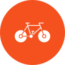 ciclo icon