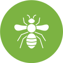 abeja icon