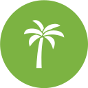 palmera icon