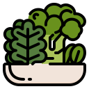 vegetal icon