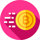 bitcoin icon