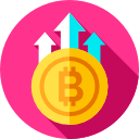 bitcoin icon