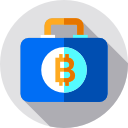 bitcoin icon