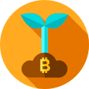 bitcoin icon