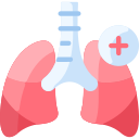 pulmones icon