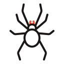 araña icon