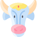 vaca 