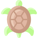 tortuga icon