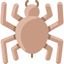 araña icon