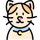 gato icon