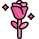 rosa 