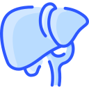 hígado icon