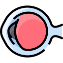 ojo icon