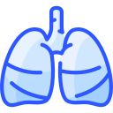 pulmones