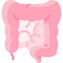 intestino icon