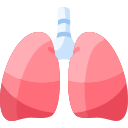 pulmones icon