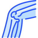 rodilla icon