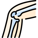 rodilla icon