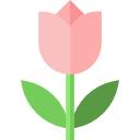 rosa icon