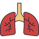 pulmones icon