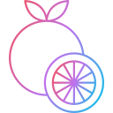 pomelo icon