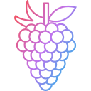 uvas icon