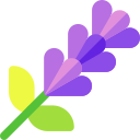 lavanda icon