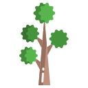 Árbol