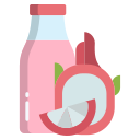 dragon de fruta icon