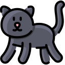 chat noir icon