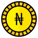 naira icon