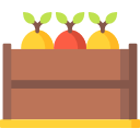 fruta icon