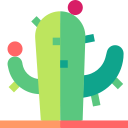 cactus icon