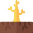 desertificación icon