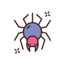 araña icon