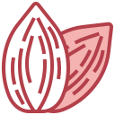 almendra icon