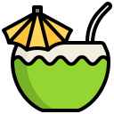 agua de coco icon