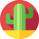 cactus icon