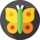 mariposa icon